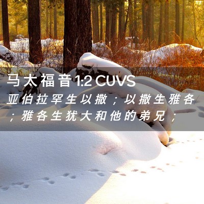 Picture 02 - 马 太 福 音 1:2 CUVS - 亚 伯 拉 罕 生 以 撒 ； 以 撒 生 雅 - Bible Verse Picture