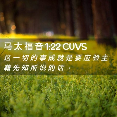 Picture 02 - 马 太 福 音 1:22 CUVS - 这 一 切 的 事 成 就 是 要 应 验 主 - Bible Verse Picture