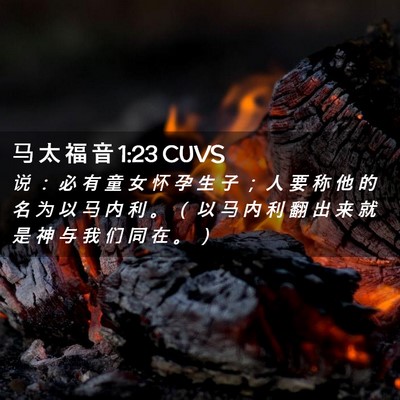 Picture 02 - 马 太 福 音 1:23 CUVS - 说 ： 必 有 童 女 怀 孕 生 子 ； 人 - Bible Verse Picture