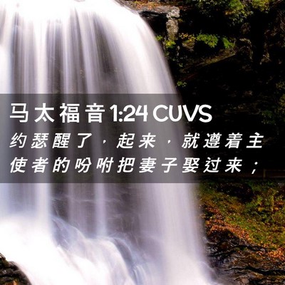 Picture 02 - 马 太 福 音 1:24 CUVS - 约 瑟 醒 了 ， 起 来 ， 就 遵 着 主 - Bible Verse Picture