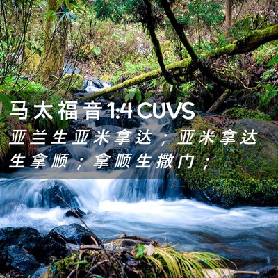 Picture 02 - 马 太 福 音 1:4 CUVS - 亚 兰 生 亚 米 拿 达 ； 亚 米 拿 达 - Bible Verse Picture