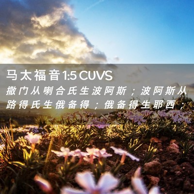 Picture 02 - 马 太 福 音 1:5 CUVS - 撒 门 从 喇 合 氏 生 波 阿 斯 ； 波 - Bible Verse Picture