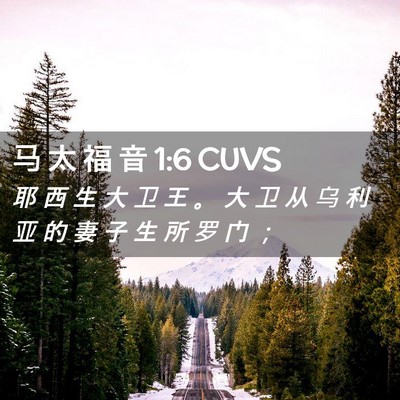 Picture 02 - 马 太 福 音 1:6 CUVS - 耶 西 生 大 卫 王 。 大 卫 从 乌 利 - Bible Verse Picture