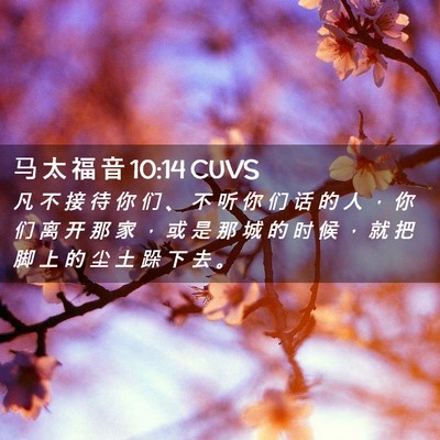 Picture 02 - 马 太 福 音 10:14 CUVS - 凡 不 接 待 你 们 、 不 听 你 们 话 - Bible Verse Picture