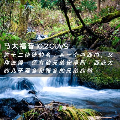 Picture 02 - 马 太 福 音 10:2 CUVS - 这 十 二 使 徒 的 名 ： 头 一 个 叫 - Bible Verse Picture