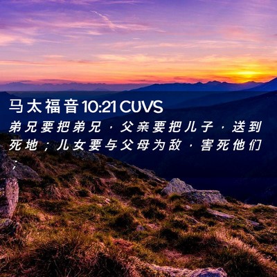 Picture 02 - 马 太 福 音 10:21 CUVS - 弟 兄 要 把 弟 兄 ， 父 亲 要 把 儿 - Bible Verse Picture
