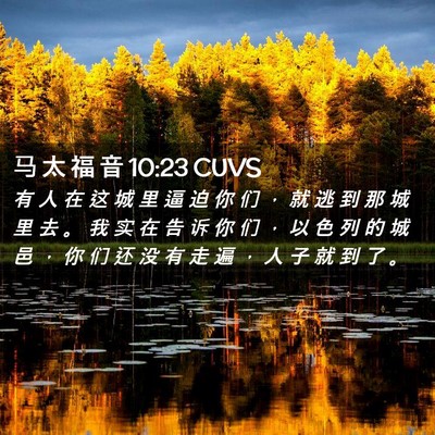 Picture 02 - 马 太 福 音 10:23 CUVS - 有 人 在 这 城 里 逼 迫 你 们 ， 就 - Bible Verse Picture