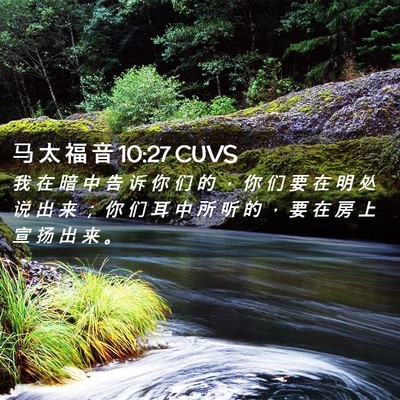 Picture 02 - 马 太 福 音 10:27 CUVS - 我 在 暗 中 告 诉 你 们 的 ， 你 们 - Bible Verse Picture