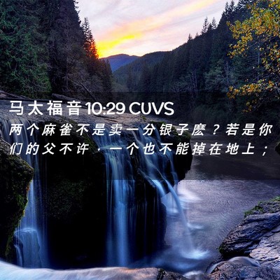 Picture 02 - 马 太 福 音 10:29 CUVS - 两 个 麻 雀 不 是 卖 一 分 银 子 麽 - Bible Verse Picture