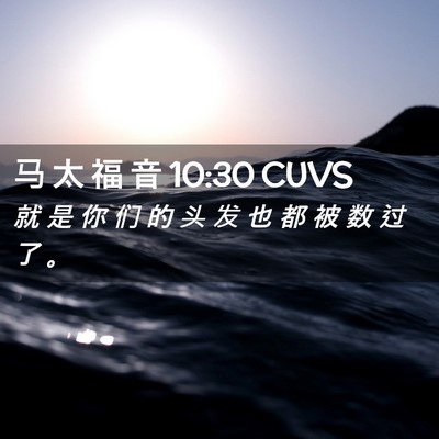 Picture 02 - 马 太 福 音 10:30 CUVS - 就 是 你 们 的 头 发 也 都 被 数 过 - Bible Verse Picture