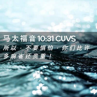 Picture 02 - 马 太 福 音 10:31 CUVS - 所 以 ， 不 要 惧 怕 ， 你 们 比 许 - Bible Verse Picture