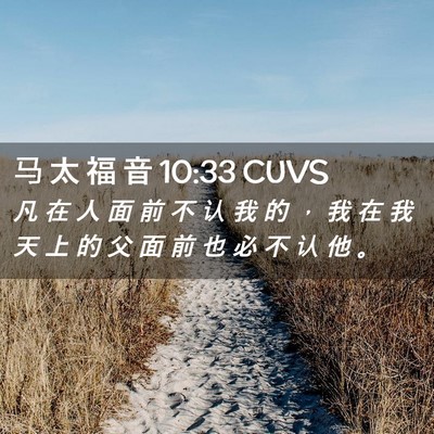 Picture 02 - 马 太 福 音 10:33 CUVS - 凡 在 人 面 前 不 认 我 的 ， 我 在 - Bible Verse Picture