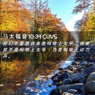 Picture 02 - 马 太 福 音 10:34 CUVS - 你 们 不 要 想 我 来 是 叫 地 上 太 - Bible Verse Picture