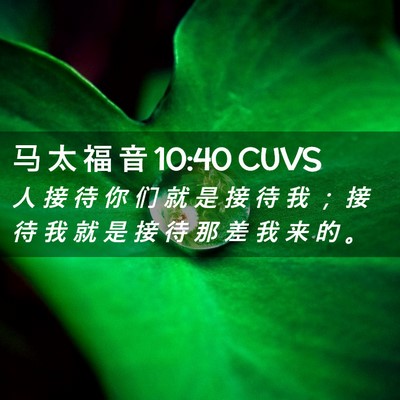 Picture 02 - 马 太 福 音 10:40 CUVS - 人 接 待 你 们 就 是 接 待 我 ； 接 - Bible Verse Picture
