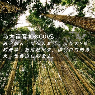 Picture 02 - 马 太 福 音 10:8 CUVS - 医 治 病 人 ， 叫 死 人 复 活 ， 叫 - Bible Verse Picture