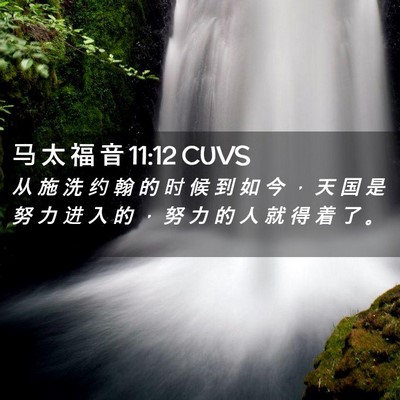 Picture 02 - 马 太 福 音 11:12 CUVS - 从 施 洗 约 翰 的 时 候 到 如 今 ， - Bible Verse Picture