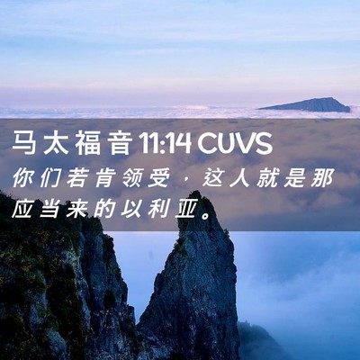 Picture 02 - 马 太 福 音 11:14 CUVS - 你 们 若 肯 领 受 ， 这 人 就 是 那 - Bible Verse Picture