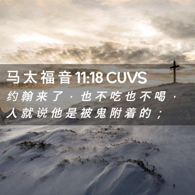 Picture 02 - 马 太 福 音 11:18 CUVS - 约 翰 来 了 ， 也 不 吃 也 不 喝 ， - Bible Verse Picture