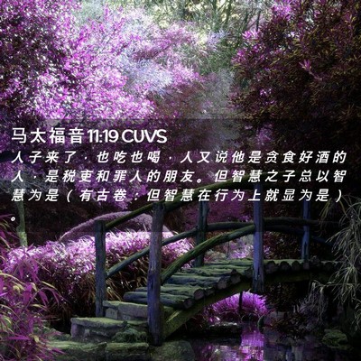 Picture 02 - 马 太 福 音 11:19 CUVS - 人 子 来 了 ， 也 吃 也 喝 ， 人 又 - Bible Verse Picture