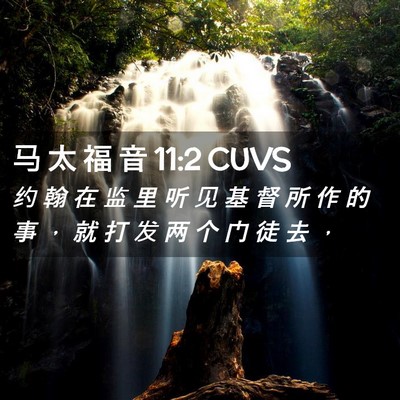 Picture 02 - 马 太 福 音 11:2 CUVS - 约 翰 在 监 里 听 见 基 督 所 作 的 - Bible Verse Picture