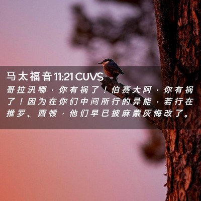 Picture 02 - 马 太 福 音 11:21 CUVS - 哥 拉 汛 哪 ， 你 有 祸 了 ！ 伯 赛 - Bible Verse Picture