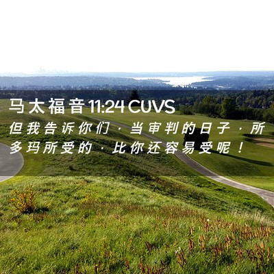 Picture 02 - 马 太 福 音 11:24 CUVS - 但 我 告 诉 你 们 ， 当 审 判 的 日 - Bible Verse Picture