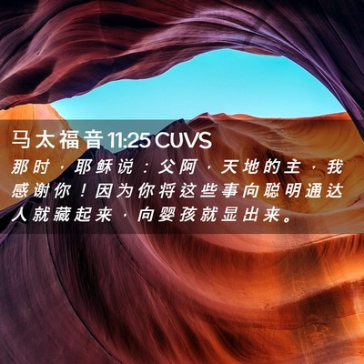 Picture 02 - 马 太 福 音 11:25 CUVS - 那 时 ， 耶 稣 说 ： 父 阿 ， 天 地 - Bible Verse Picture