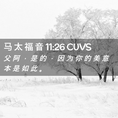 Picture 02 - 马 太 福 音 11:26 CUVS - 父 阿 ， 是 的 ， 因 为 你 的 美 意 - Bible Verse Picture