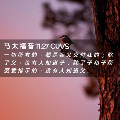 Picture 02 - 马 太 福 音 11:27 CUVS - 一 切 所 有 的 ， 都 是 我 父 交 付 - Bible Verse Picture