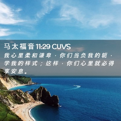 Picture 02 - 马 太 福 音 11:29 CUVS - 我 心 里 柔 和 谦 卑 ， 你 们 当 负 - Bible Verse Picture