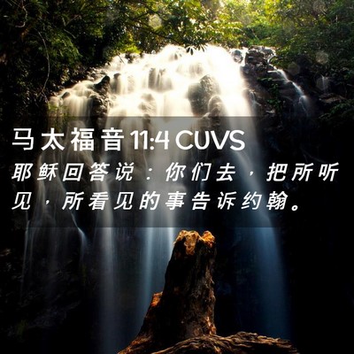Picture 02 - 马 太 福 音 11:4 CUVS - 耶 稣 回 答 说 ： 你 们 去 ， 把 所 - Bible Verse Picture