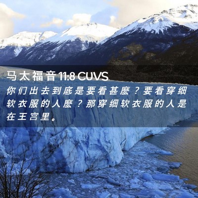 Picture 02 - 马 太 福 音 11:8 CUVS - 你 们 出 去 到 底 是 要 看 甚 麽 ？ - Bible Verse Picture