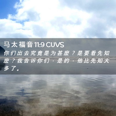 Picture 02 - 马 太 福 音 11:9 CUVS - 你 们 出 去 究 竟 是 为 甚 麽 ？ 是 - Bible Verse Picture