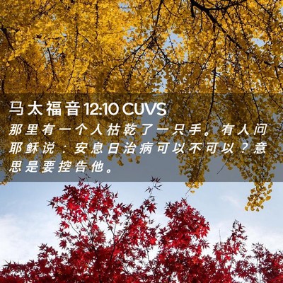 Picture 02 - 马 太 福 音 12:10 CUVS - 那 里 有 一 个 人 枯 乾 了 一 只 手 - Bible Verse Picture