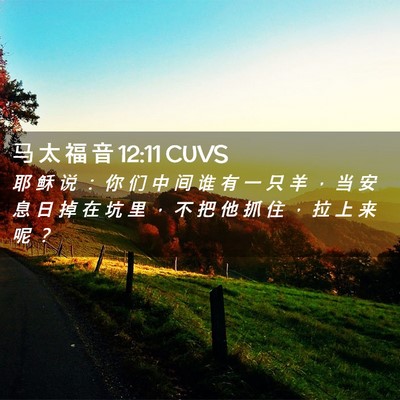 Picture 02 - 马 太 福 音 12:11 CUVS - 耶 稣 说 ： 你 们 中 间 谁 有 一 只 - Bible Verse Picture