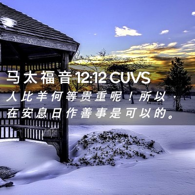 Picture 02 - 马 太 福 音 12:12 CUVS - 人 比 羊 何 等 贵 重 呢 ！ 所 以 ， - Bible Verse Picture
