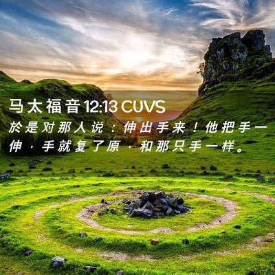 Picture 02 - 马 太 福 音 12:13 CUVS - 於 是 对 那 人 说 ： 伸 出 手 来 ！ - Bible Verse Picture