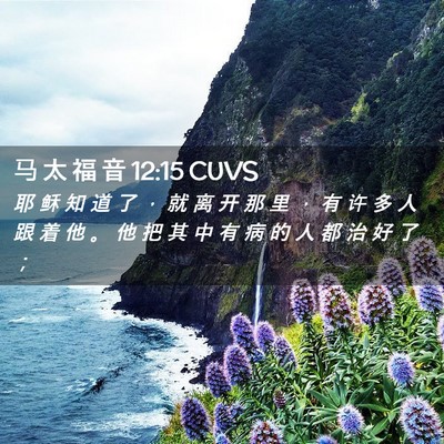 Picture 02 - 马 太 福 音 12:15 CUVS - 耶 稣 知 道 了 ， 就 离 开 那 里 ， - Bible Verse Picture
