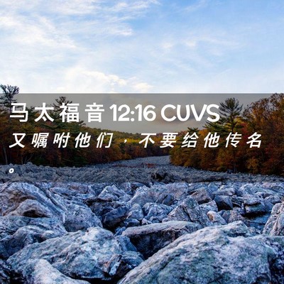 Picture 02 - 马 太 福 音 12:16 CUVS - 又 嘱 咐 他 们 ， 不 要 给 他 传 名 - Bible Verse Picture