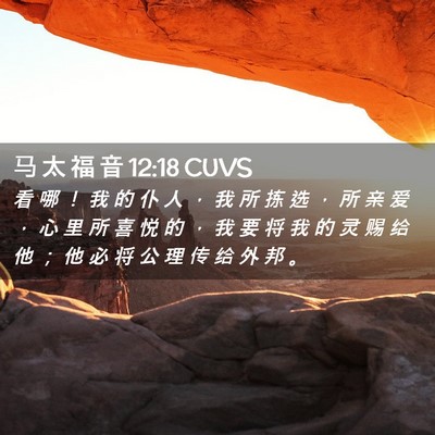 Picture 02 - 马 太 福 音 12:18 CUVS - 看 哪 ！ 我 的 仆 人 ， 我 所 拣 选 - Bible Verse Picture