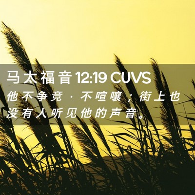 Picture 02 - 马 太 福 音 12:19 CUVS - 他 不 争 竞 ， 不 喧 嚷 ； 街 上 也 - Bible Verse Picture