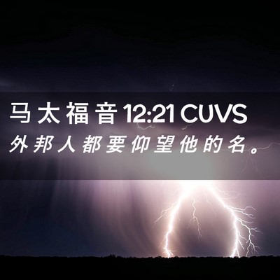 Picture 02 - 马 太 福 音 12:21 CUVS - 外 邦 人 都 要 仰 望 他 的 名 - Bible Verse Picture