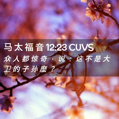 Picture 02 - 马 太 福 音 12:23 CUVS - 众 人 都 惊 奇 ， 说 ： 这 不 是 大 - Bible Verse Picture