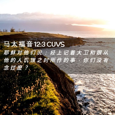 Picture 02 - 马 太 福 音 12:3 CUVS - 耶 稣 对 他 们 说 ： 经 上 记 着 大 - Bible Verse Picture