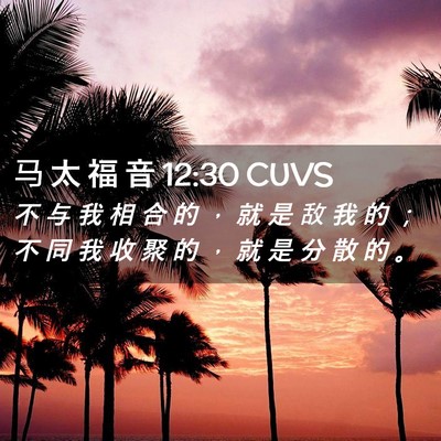 Picture 02 - 马 太 福 音 12:30 CUVS - 不 与 我 相 合 的 ， 就 是 敌 我 的 - Bible Verse Picture