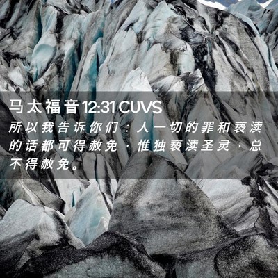 Picture 02 - 马 太 福 音 12:31 CUVS - 所 以 我 告 诉 你 们 ： 人 一 切 的 - Bible Verse Picture