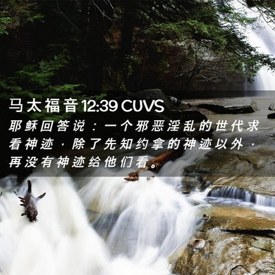 Picture 02 - 马 太 福 音 12:39 CUVS - 耶 稣 回 答 说 ： 一 个 邪 恶 淫 乱 - Bible Verse Picture
