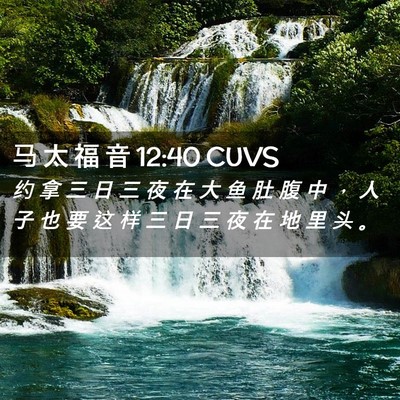 Picture 02 - 马 太 福 音 12:40 CUVS - 约 拿 三 日 三 夜 在 大 鱼 肚 腹 中 - Bible Verse Picture