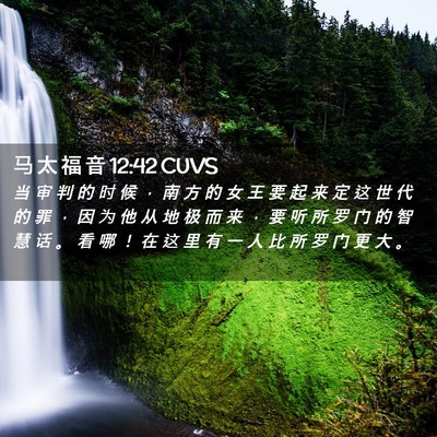 Picture 02 - 马 太 福 音 12:42 CUVS - 当 审 判 的 时 候 ， 南 方 的 女 王 - Bible Verse Picture