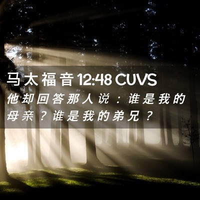 Picture 02 - 马 太 福 音 12:48 CUVS - 他 却 回 答 那 人 说 ： 谁 是 我 的 - Bible Verse Picture